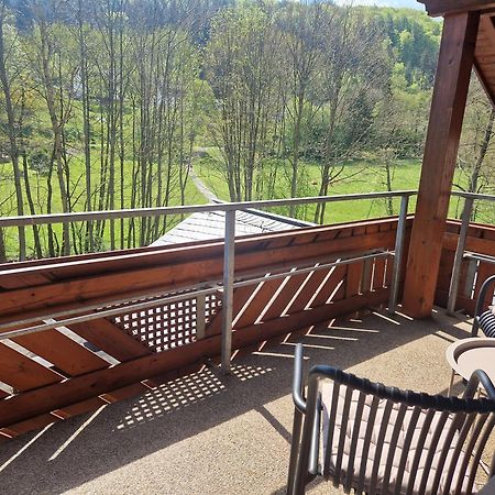 Haus Daut Fewo Mit Hallenbad Willingen  Zewnętrze zdjęcie