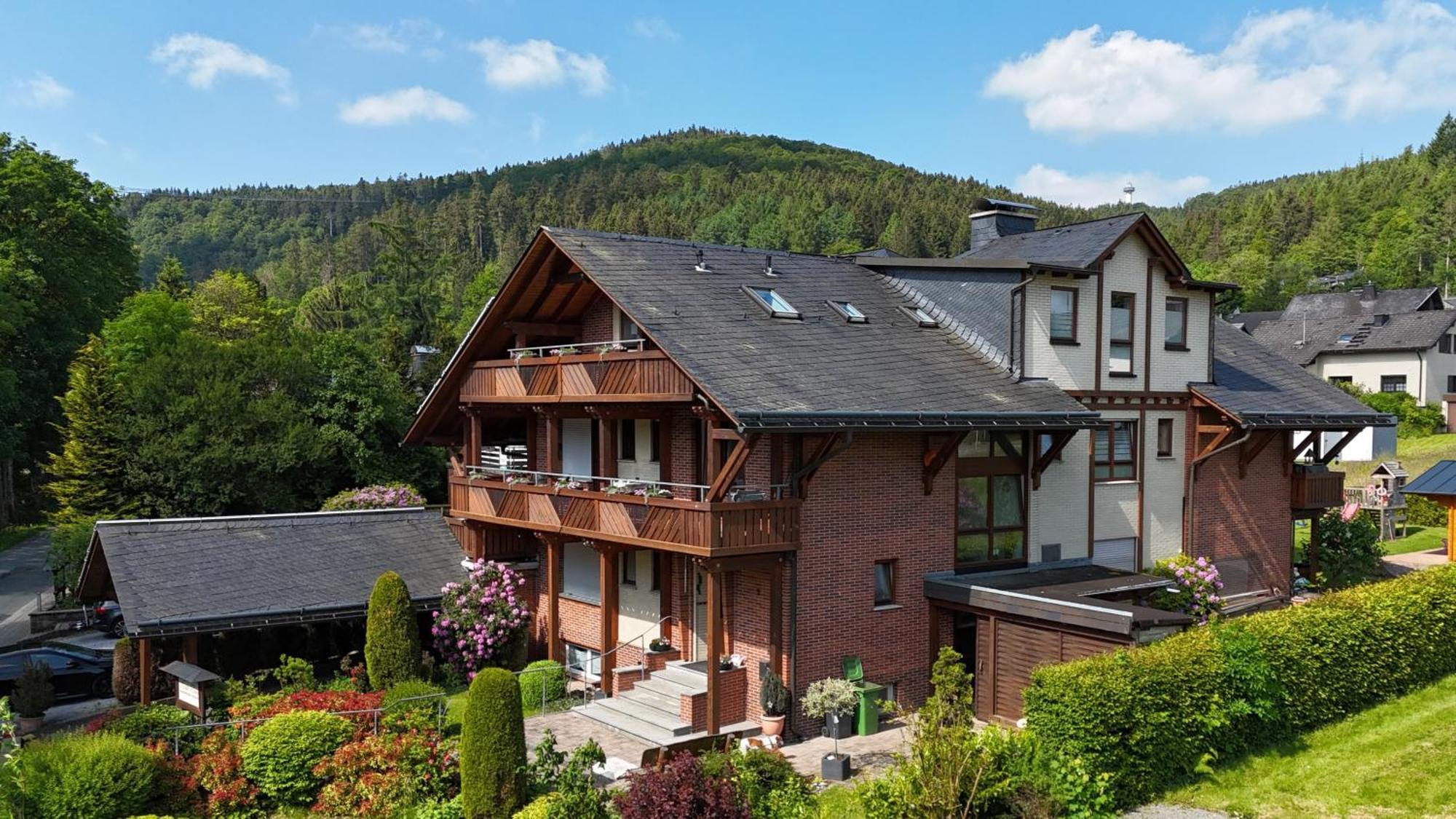 Haus Daut Fewo Mit Hallenbad Willingen  Zewnętrze zdjęcie